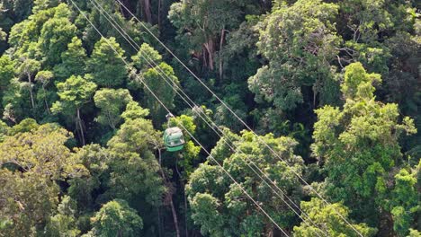 cable cars glide above dense rainforest canopy, showcasing vibrant greenery and serene aerial views