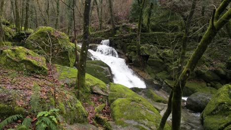 Rocas-Cubiertas-De-Musgo-En-La-Cascada-De-Felgueiras---Aérea-A-Través-Del-Bosque