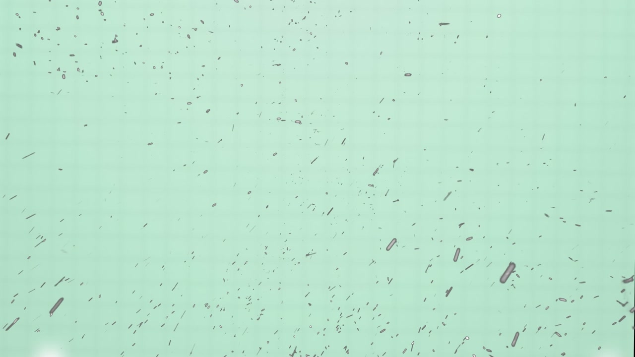 Animation of falling confetti over blue background