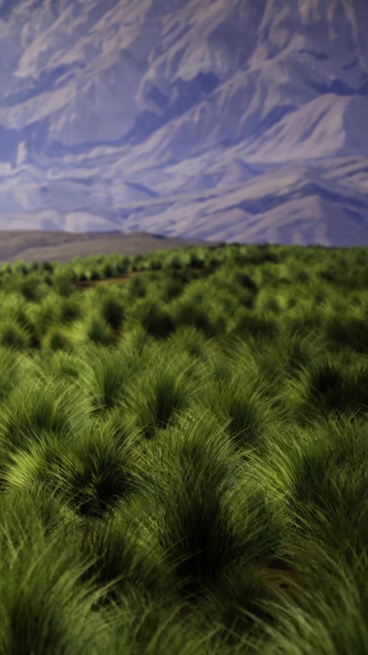 Dolci colline verdi coprono il paesaggio sotto un cielo azzurro e limpido.