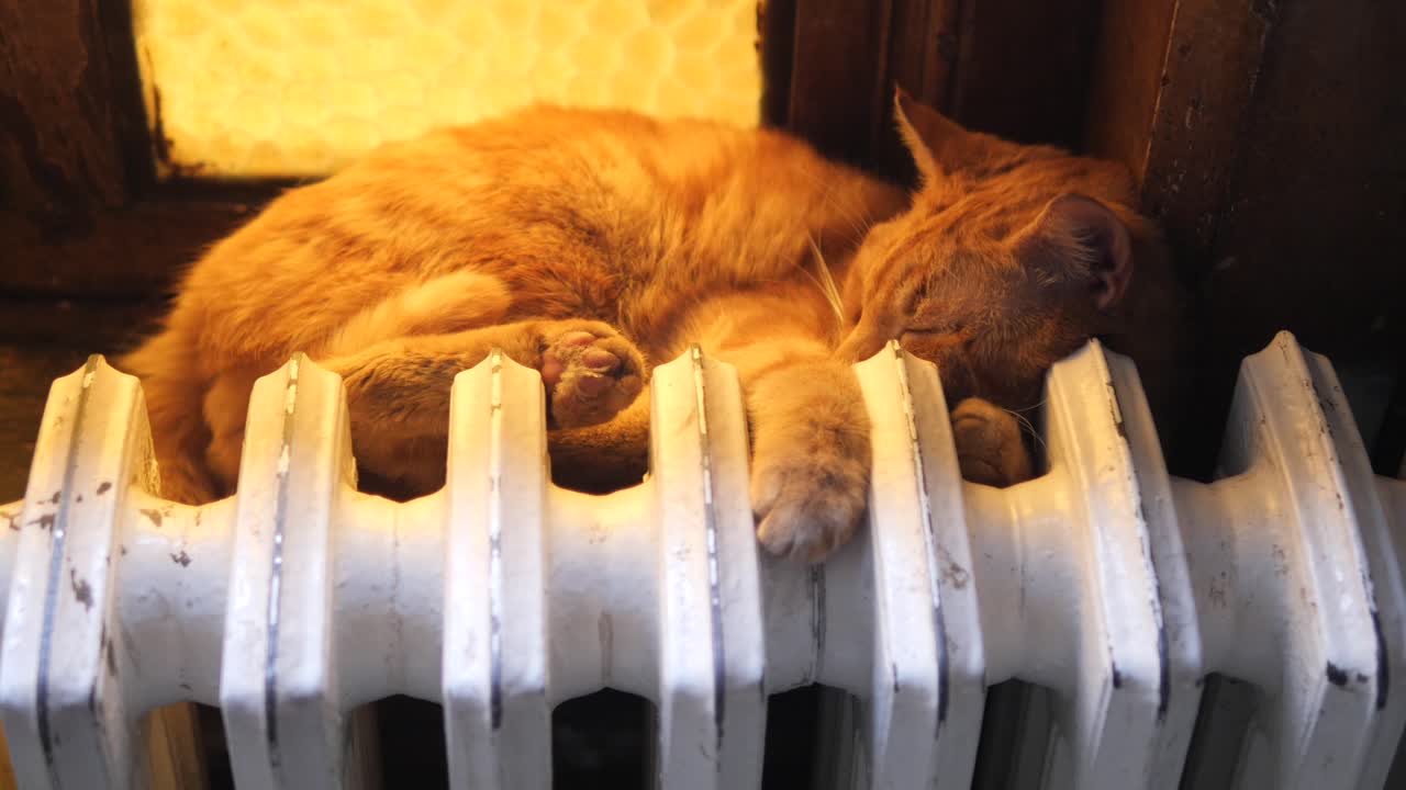 오렌지색 고양이가 창문 의 라디에이터에서 잠을 자고 있다