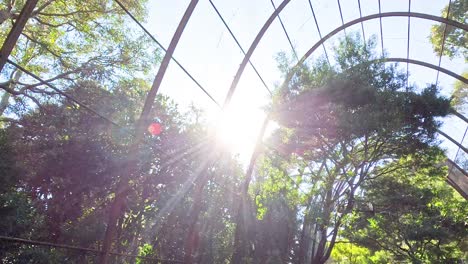 sunlight filters through trees in a birdcage