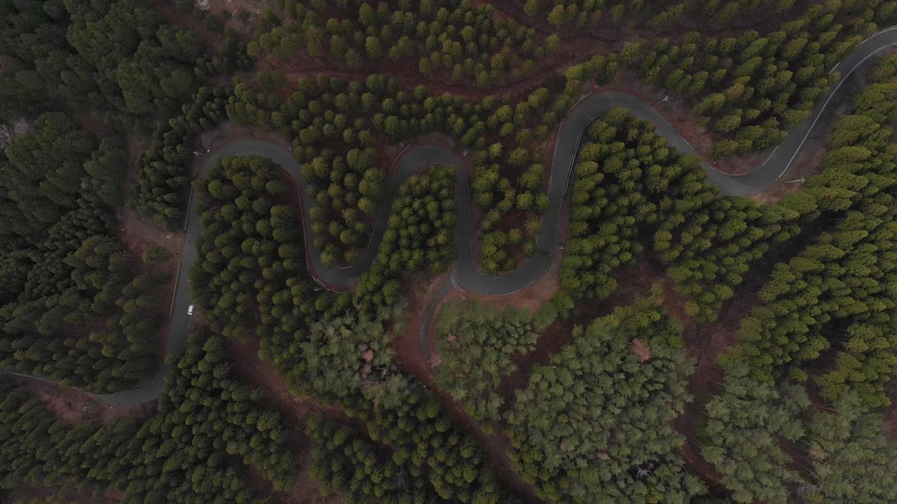 Aerial Drone Fly Over Zigzag Mountain Road Through Cedar Forest in Rural Japan