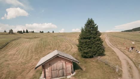 imágenes de drones fpv, con el drone deslizándose bajo y capturando el pintoresco paisaje