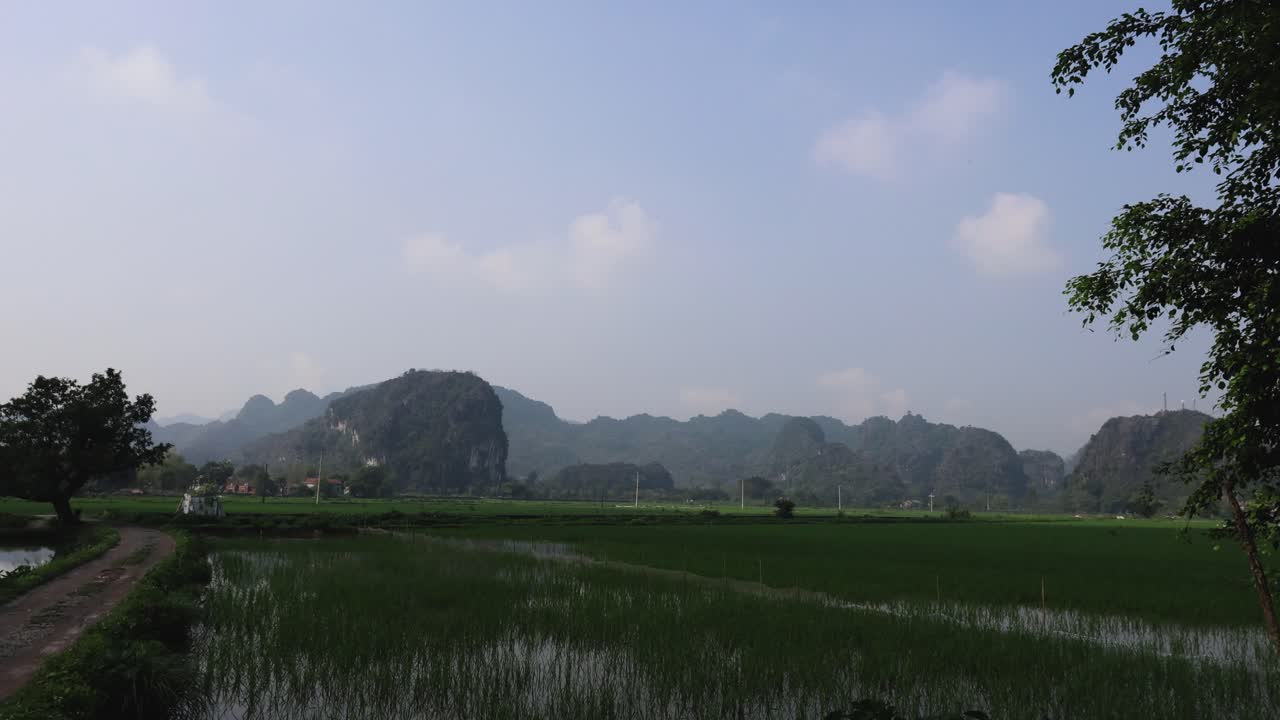 울창한 초록색 과 산의 타임스