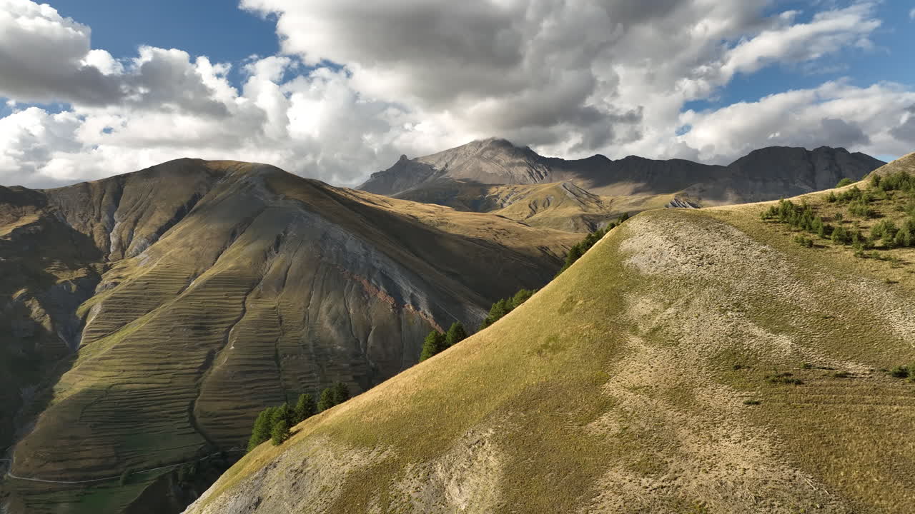 Montagne delle Alpi francesi coperte di abeti e ghiacciaio sullo sfondo, veduta aerea