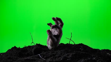 zombie hand emerging from the ground. green screen. 006