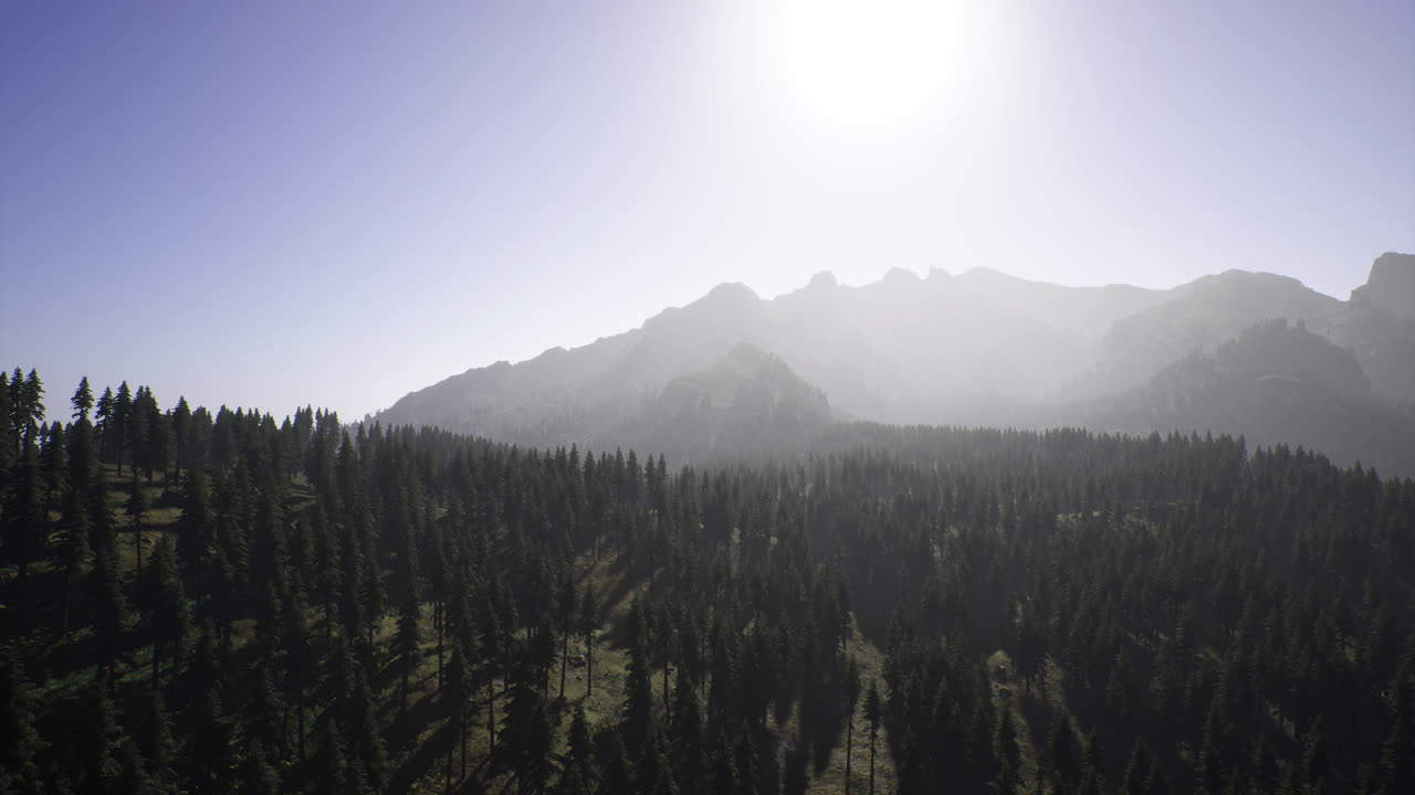 Scenic mountain landscape with sun overhead and dense forest below