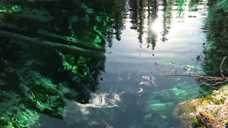 wide shots of clear blue reflection of water with mountain in the background