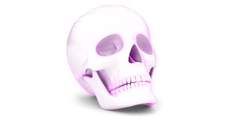 the mesh of the skull. looping footage has 4k resolution.