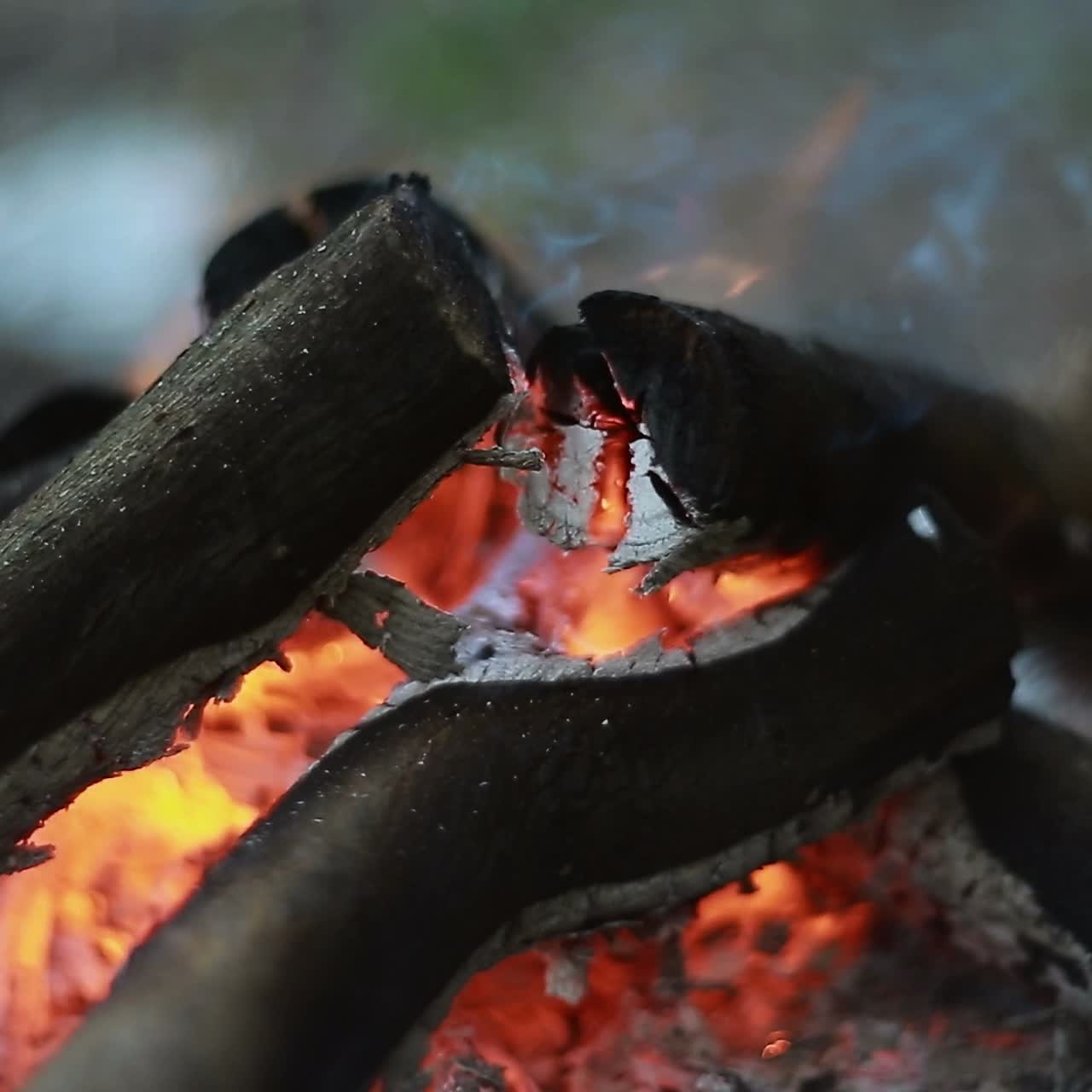 Firewood In Flame Close-Up. Burning bonfire wood and ember close up