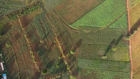 farm farmland landscape rural