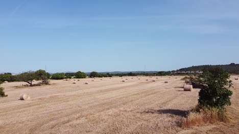 Campo-De-Fardos-De-Paja-En-Mallorca