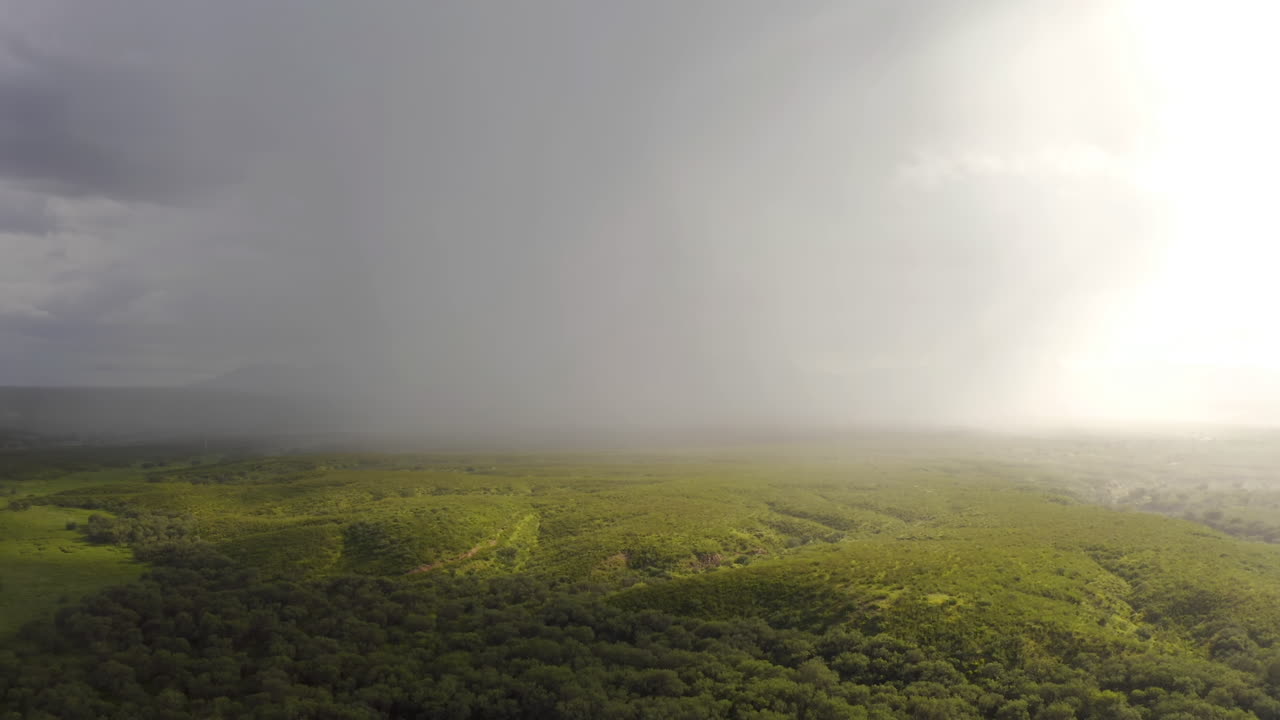 área de conservación nacional ribereña de san pedro, dron hacia atrás revela la curva del río