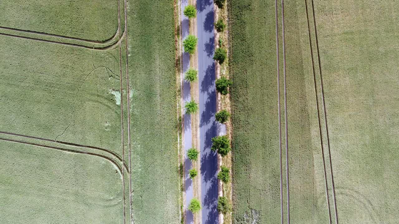 자동차는 나무가 있는 시골길을 아래에서 위로 이동합니다.