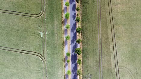 El-Automóvil-Conduce-De-Abajo-Hacia-Arriba-En-La-Avenida-De-La-Carretera-Rural-Con-árboles.