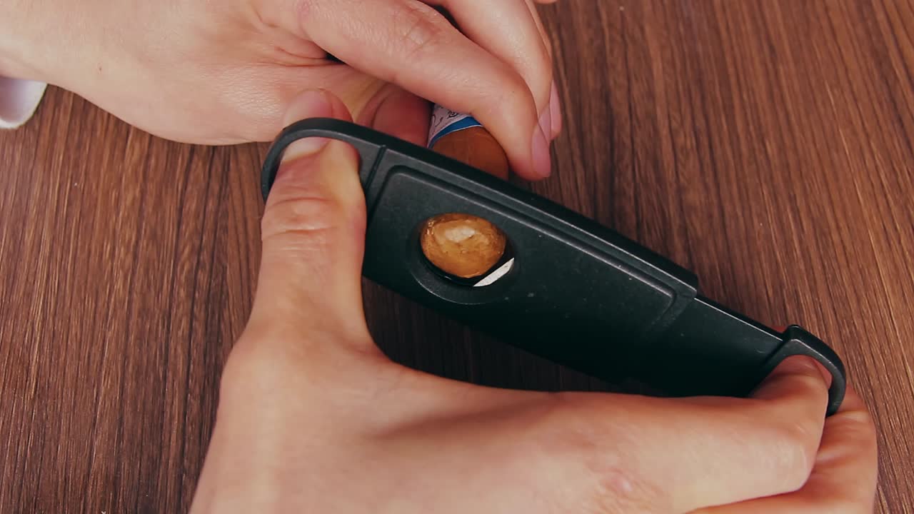 시가의 머리를 절단 닫습니다