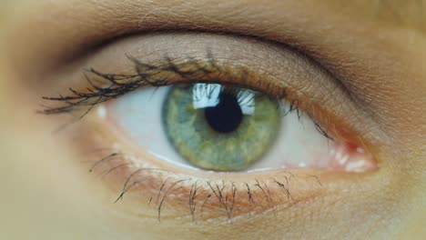 primer plano del ojo de una mujer joven