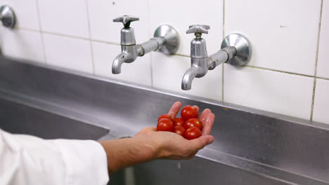 chef washing cherry tomatoes under the tap