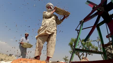 Chilgoza-Dust-Cleaning