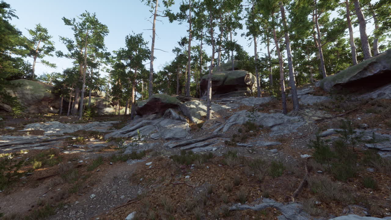 Rocky terrain with lush greenery under a clear sky in a forest setting