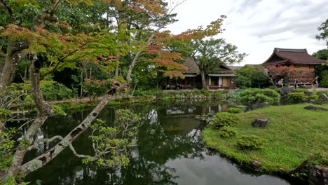 beautiful colors of autumn in nara, japan