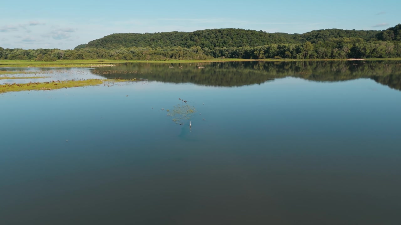 Still Lake Eucha shoreline with heron or egret standing watching across the waters, aerial wide orbit