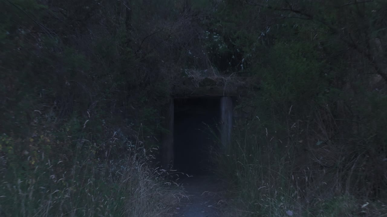 Explore a entrada sombria de um túnel de mineração no Parque Warrendyte durante o crepúsculo. A cena captura uma atmosfera misteriosa e silenciosa com folhagem densa ao redor e iluminação suave.