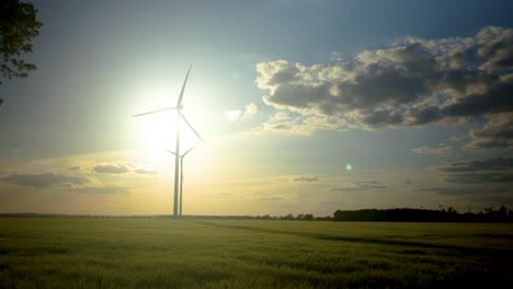 silhouette of windmills in backlight, in country fields, projecting shadows while rotating, at sunset