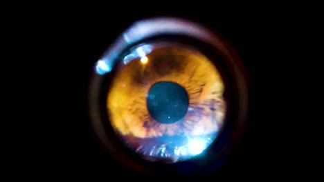 mirilla un primerísimo plano del ojo mirando alrededor con negro a su alrededor como en una puerta desde la perspectiva exterior