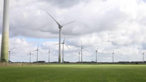 un parque eólico en tierras agrícolas