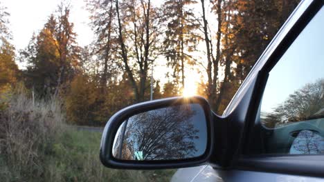 coche en un bosque con un pico de puesta de sol
