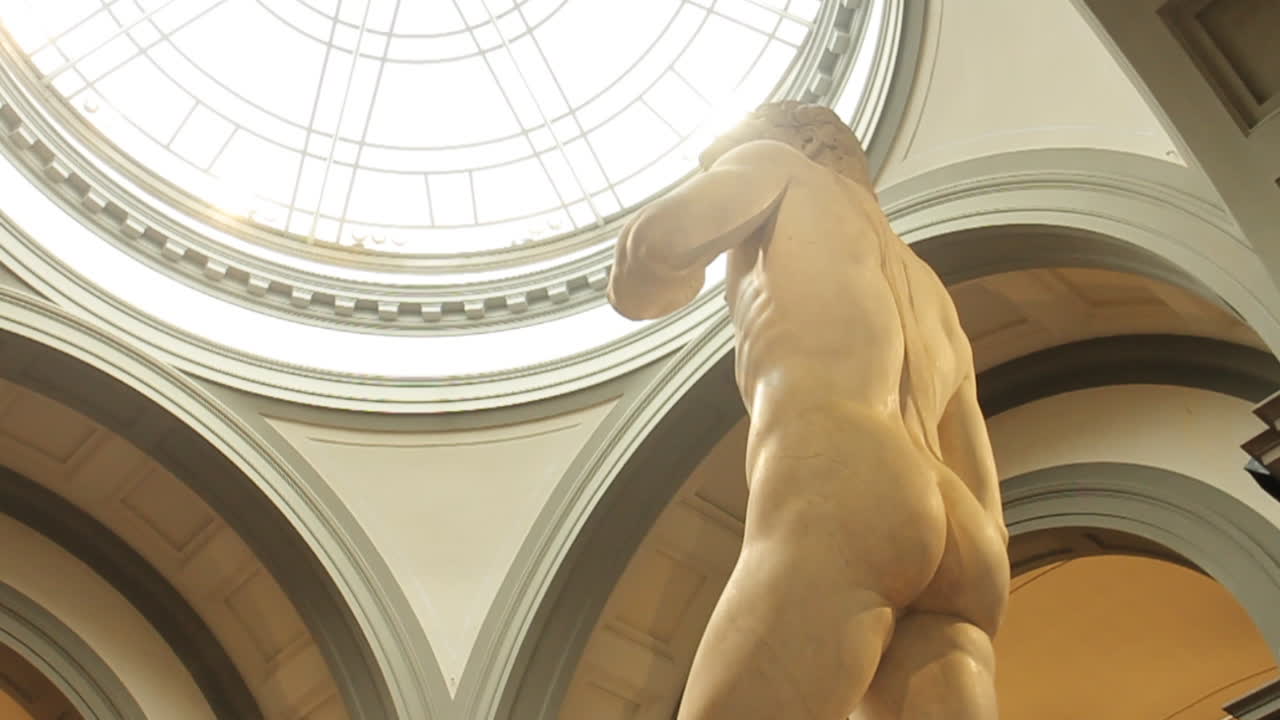 Michelangelo's David statue