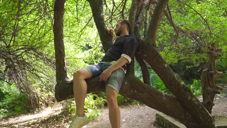 the man sleeping on the tree in the forest.