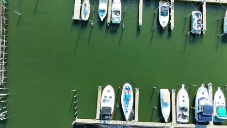 Spin-over-water-turned-green-from-fresh-algae-blooms