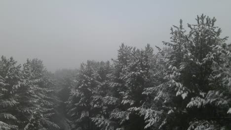 Drohnenaufnahmen-Beim-Abstieg-Zu-Einem-Nebligen,-Nebligen,-Gefrorenen-Waldweg