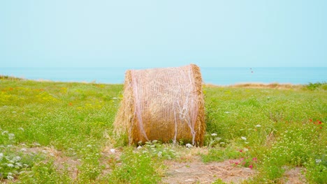 balas de paja en el campo verde junto al mar