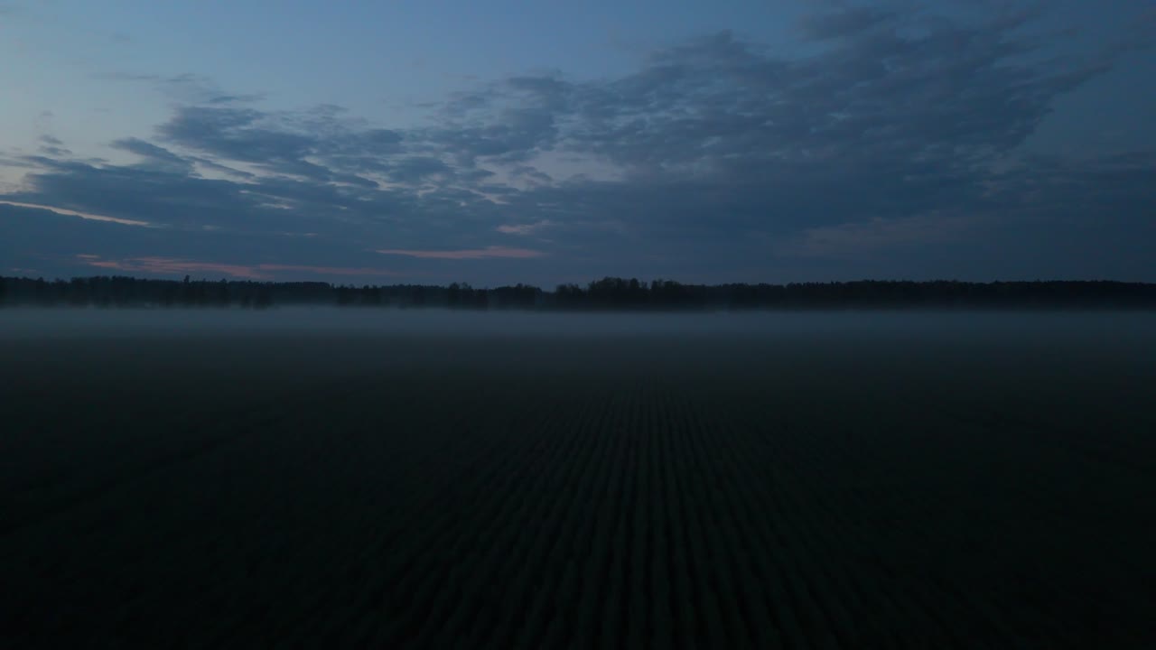 Captivating Evening Mist Over a Vast Rapeseed Field at Sunset, Captured by Drone in Stunning 4K , Showcasing the Tranquil Beauty of Nature with Golden Hues and Serene Atmosphere in the Countryside