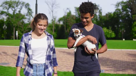 Attractive-multi-ethnic-couple-walking-together-in-park-enjoying-the-day.-African-boy-is-holding-cute-little-jack-russell-terrier