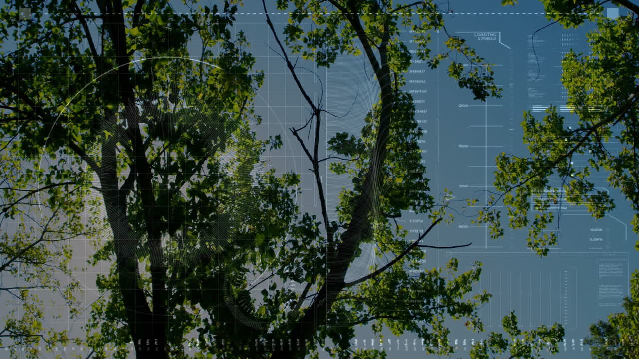Viewer exploring sunlit tree canopy, with grids, circle charts, numeric scales for technology