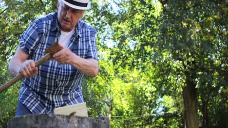 hombre mayor cortando madera con un hacha en el jardín