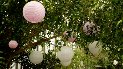 white pink balls of rice paper hanging on the branches of green trees