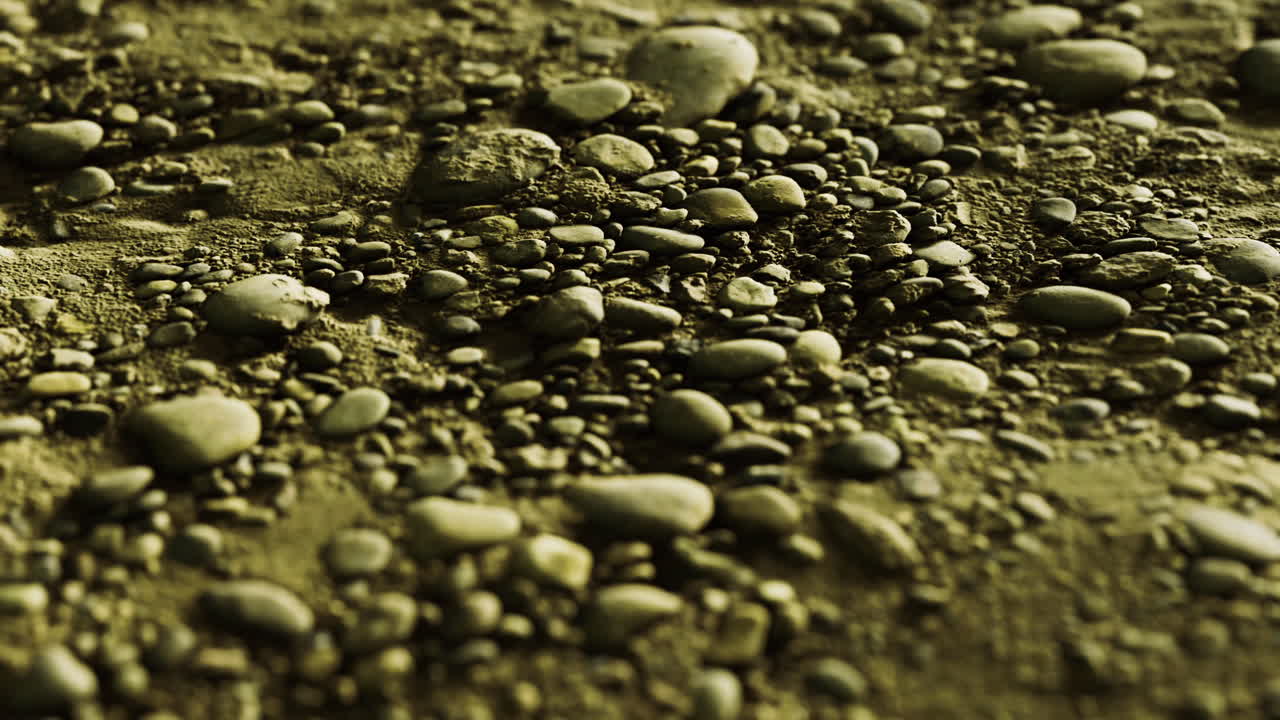 Natural arrangement of pebbles on a sandy shore during daylight hours
