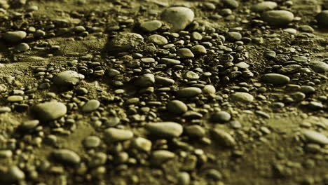 natural arrangement of pebbles on a sandy shore during daylight hours