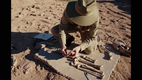 paleontologist examining fossils in a desert