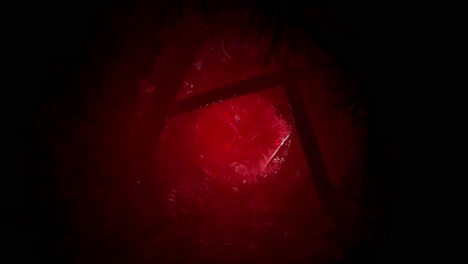 crimson portal