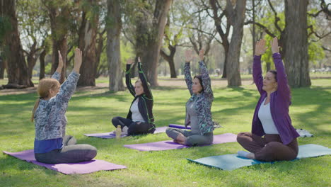 outdoor yoga class in a park
