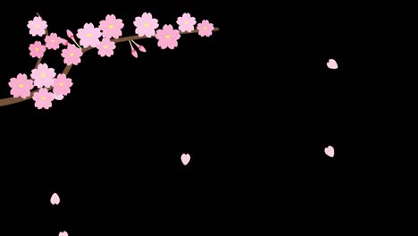 las ramas de los cerezos en flor bailando animación fondo negro