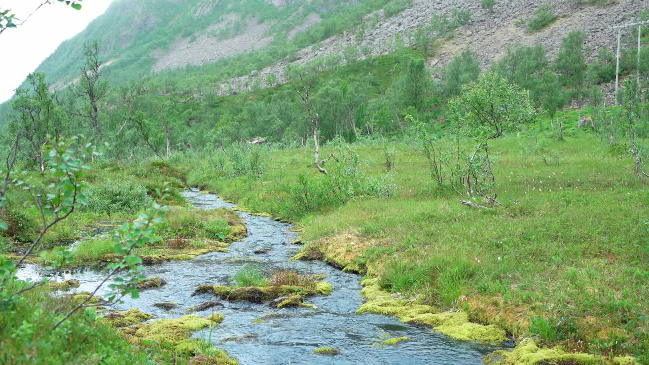 Freshwater Stream Flows From The Mountains Near Flakstad Village In Norway