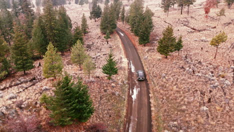 pathfinder's chronicle: a road less traveled